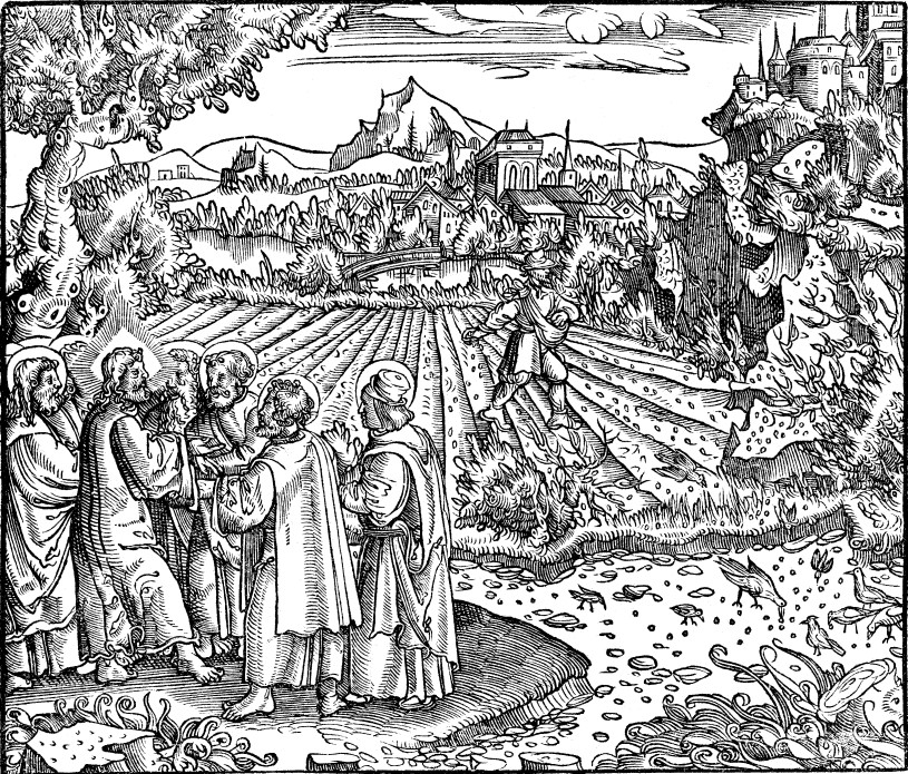 The Parable of the Sower